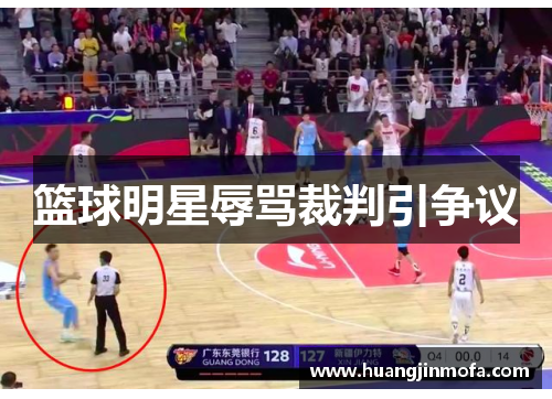 篮球明星辱骂裁判引争议